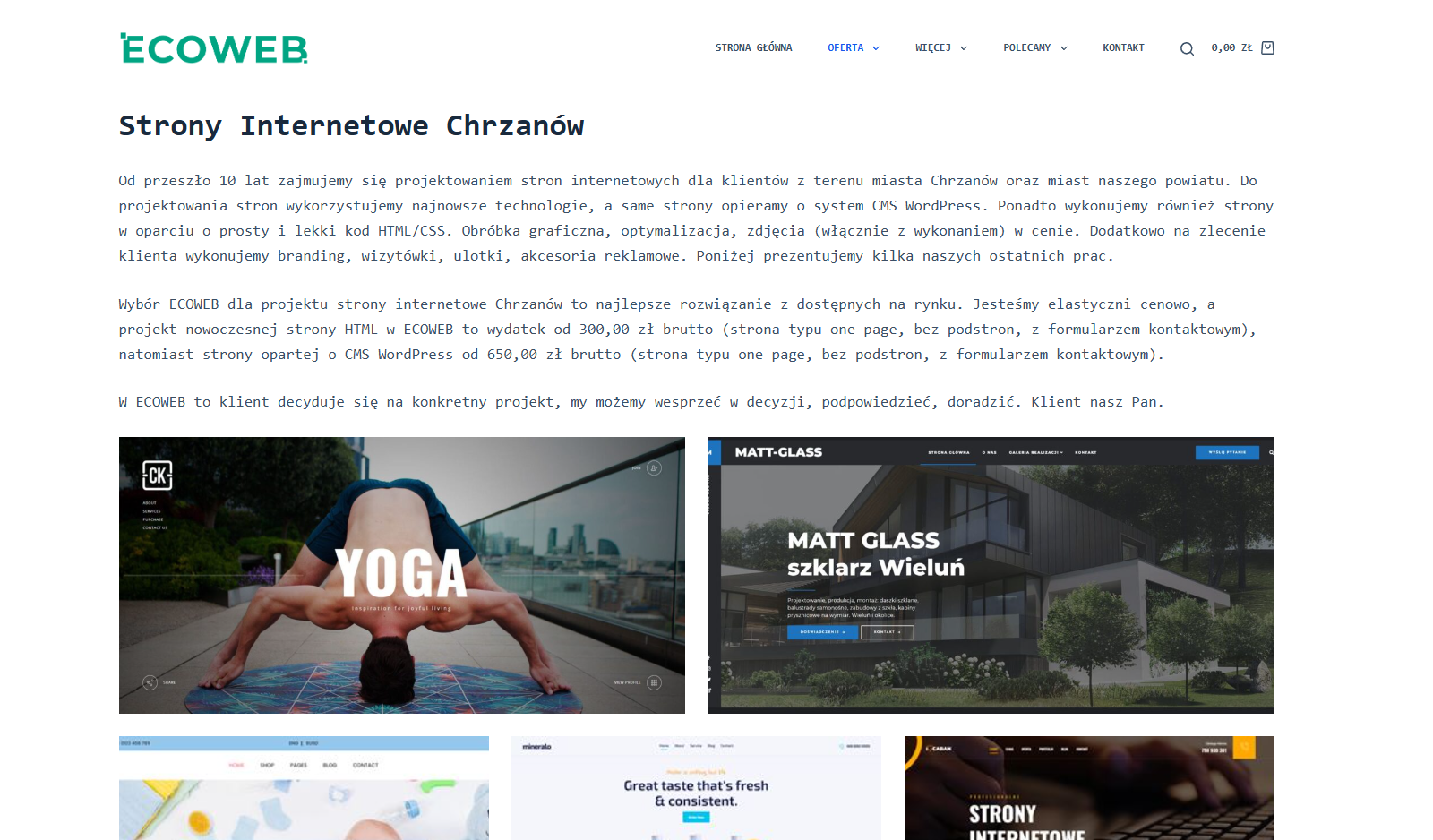ECOWEB - projektowanie stron internetowych chrzanów